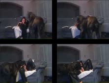 Amateur Aiming To Please Webcam Dog Sex - ZoofiliaLovers - Videos de Zoofilia.mp4