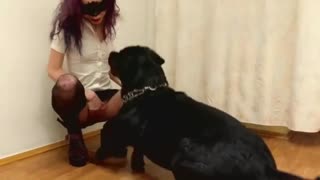 Telegram @rule3402dog_porn_2216.mp4